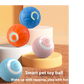 Interactive Smart Dog Toy Ball