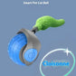 Speedy Tail Pet Toy Ball