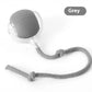Speedy Tail Pet Toy Ball