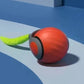 Speedy Tail Pet Toy Ball