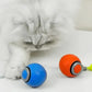 Speedy Tail Pet Toy Ball
