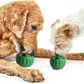 Dog Slow Feeder Toy Dish