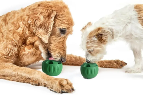 Dog Slow Feeder Toy Dish