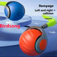Speedy Tail Pet Toy Ball