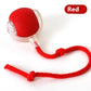 Speedy Tail Pet Toy Ball